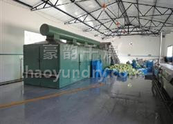 DWC系列脫水蔬菜帶式干燥機