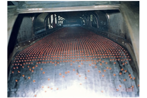 RL系列熔融造粒機